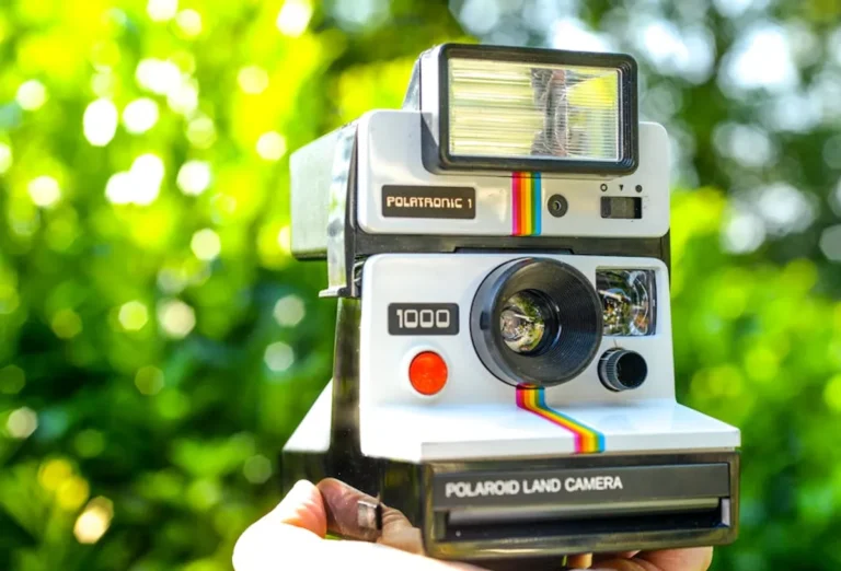 What Are Polaroids in Modeling?